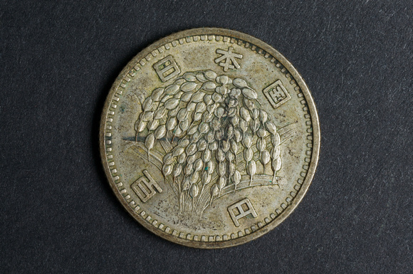 ct_foreigncoins_china100-DSC00527