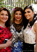 Bridal Shower